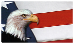 DNSEMP-C-410 With Love and Honor